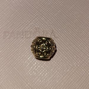 Guilded cage Pandora Charm 14k💫